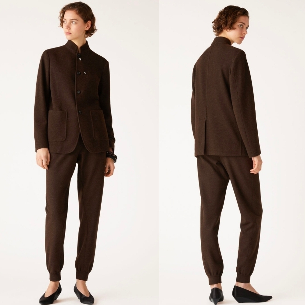 Loro Piana Rassa Pants Virgin Wool Jogger Pecora Nera Fleece MEDIUM Brown - Picture 2 of 12